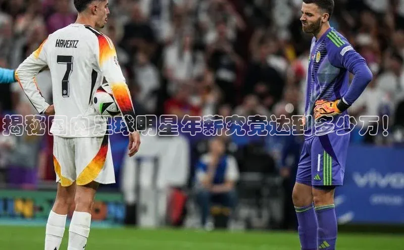 熊猫足球直播百度营销中心揭秘国内足球明星年薪究竟达到多少万！