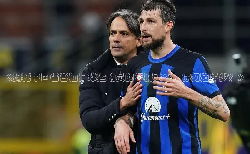 熊猫体育官方网站彩讯股份《揭秘中国省普通足球运动员的年薪水平，你知道多少？》