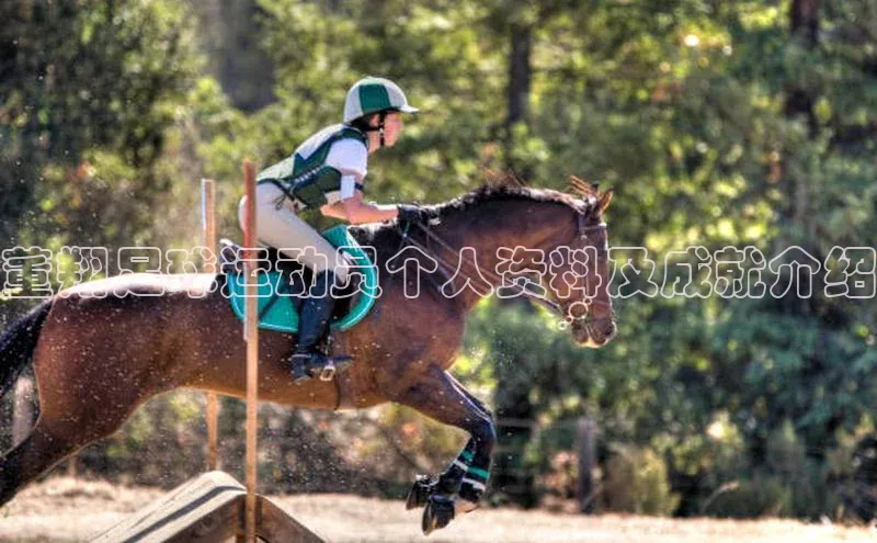 熊猫体育在线观看平台百度翻译董翔足球运动员个人资料及成就介绍