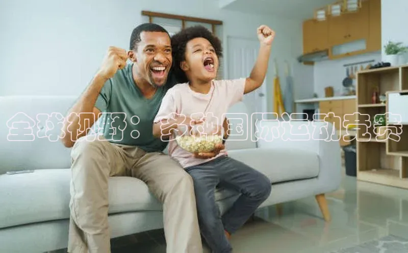 全球视野：多种国际运动竞赛