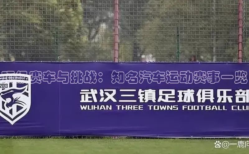 顶级赛车与挑战：知名汽车运动赛事一览