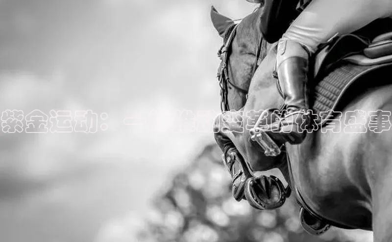 紫金运动：一场推动变革的体育盛事