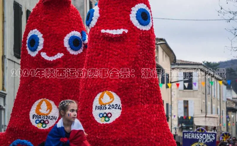 2024年陕西运动赛事全景：激情与健康的力量