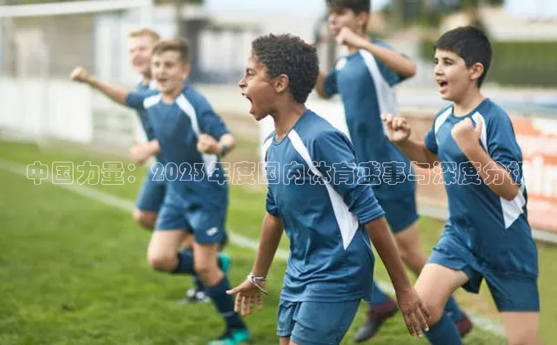 中国力量：2023年度国内体育盛事与深度分析