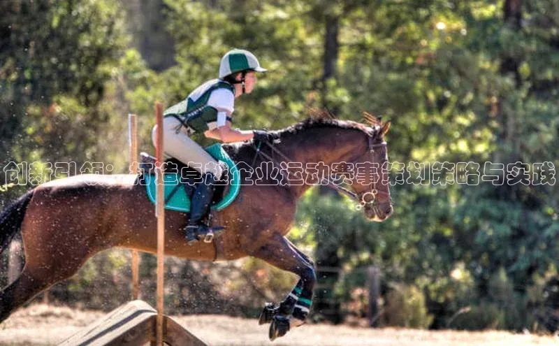 创新引领：打造卓越企业运动赛事策划策略与实践