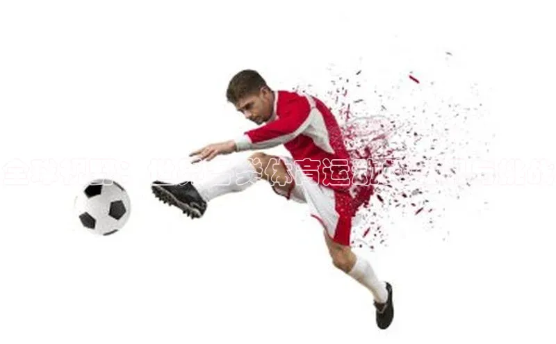 全球视野：世界各类体育运动的盛况与挑战