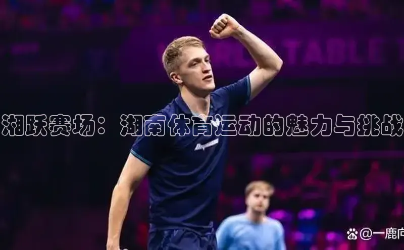 湘跃赛场：湖南体育运动的魅力与挑战
