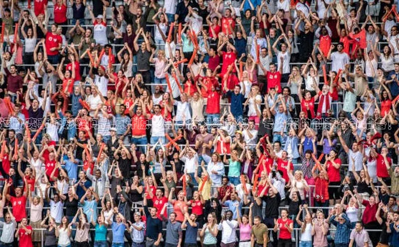 运动赛事精彩瞬间，原汁原味的高清视频素材，专为您的创意需求准备！