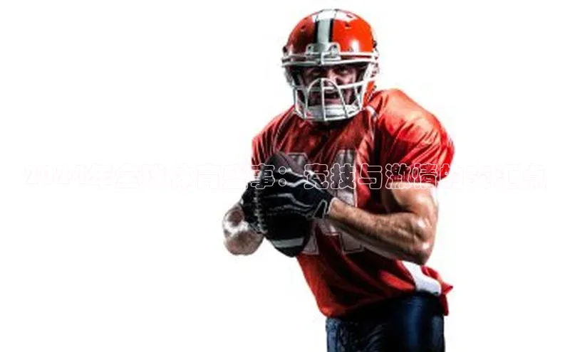 2024年全球体育盛事：竞技与激情的交汇点