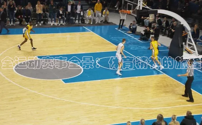 全运动赛事全景：体育精神的旅程