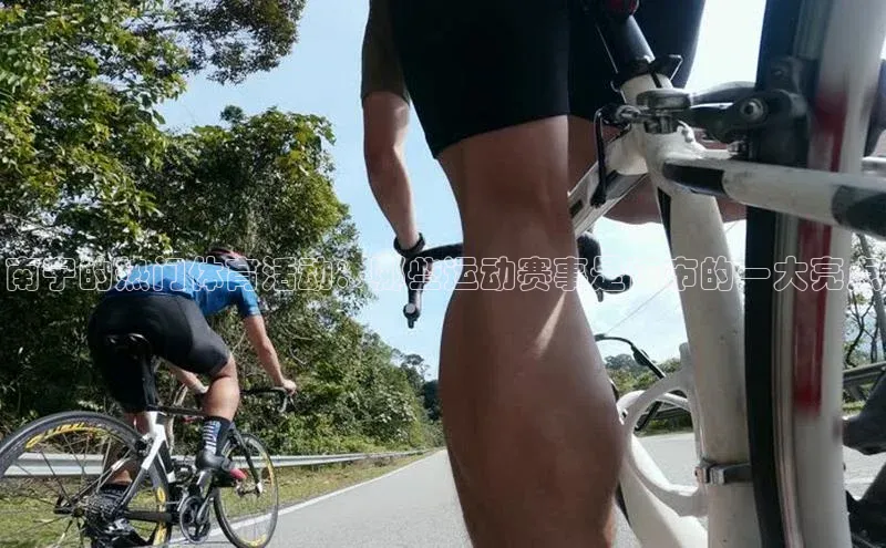 南宁的热门体育活动：哪些运动赛事是该市的一大亮点