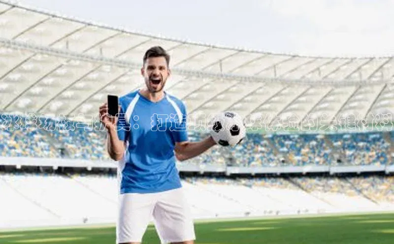 冰球场板与护具：打造顶级冰球体验的关键材料