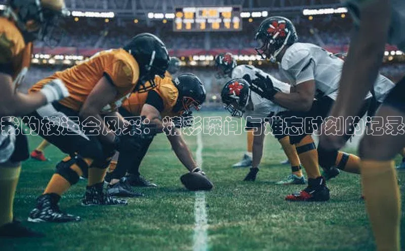 我的校运会风采：精彩瞬间与难忘时刻的记录