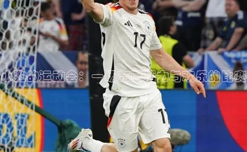 熊猫体育手机版下载