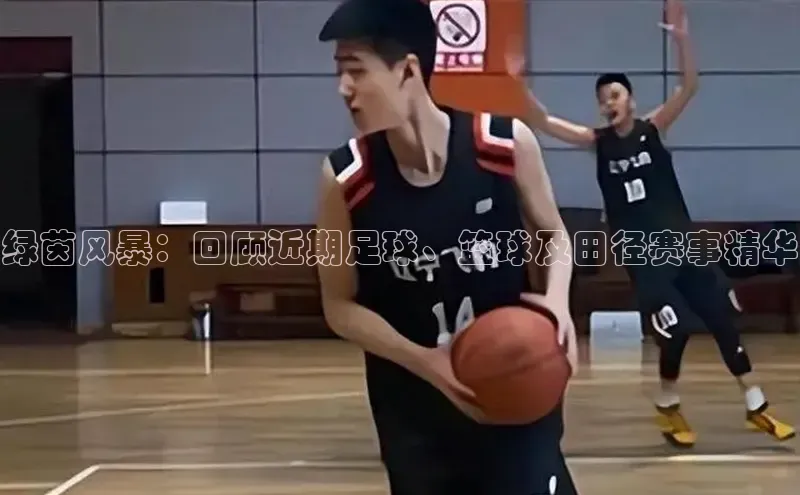 熊猫体育app安装入口