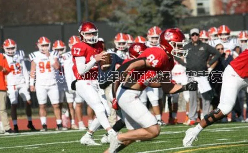 巅峰对决：2023年度顶级运动赛事亮点