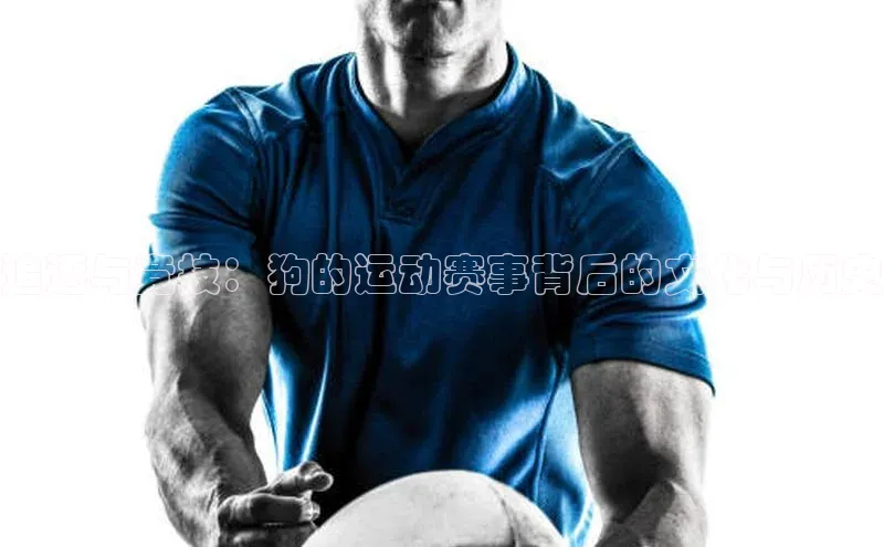 追逐与竞技：狗的运动赛事背后的文化与历史