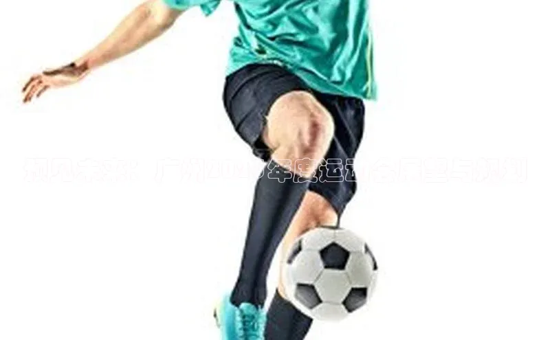 预见未来：广州2025年度运动会展望与规划