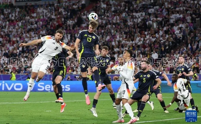 中国运动员今日表现概览：精彩瞬间与突破成果