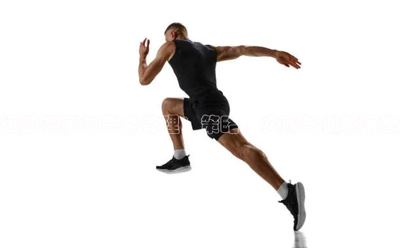 运动赛事与票务管理：策略、实践与创新展望