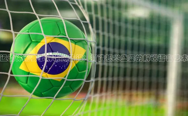 运动休闲赛事解说词集锦：打造视觉盛宴的解说语言艺术