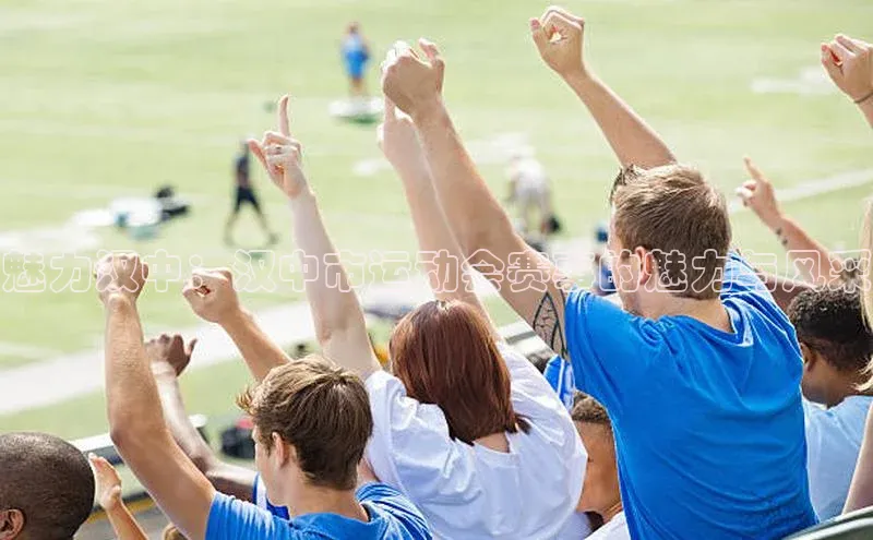 熊猫体育在线观看平台