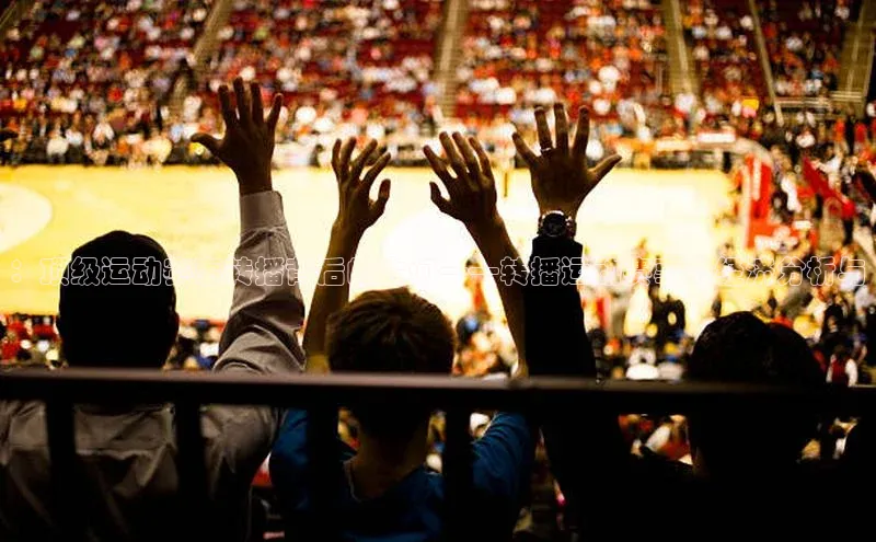 ：顶级运动赛事转播背后的大门——转播运动赛事的经济分析与