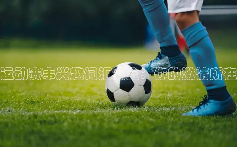 运动赛事兴趣词汇大全：你的激情所在