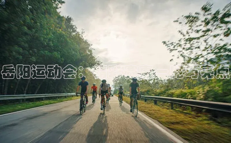 岳阳运动会：精彩赛事一览与亮点