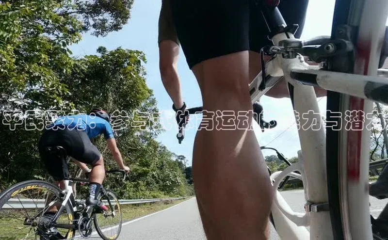 熊猫体育官网首页入口